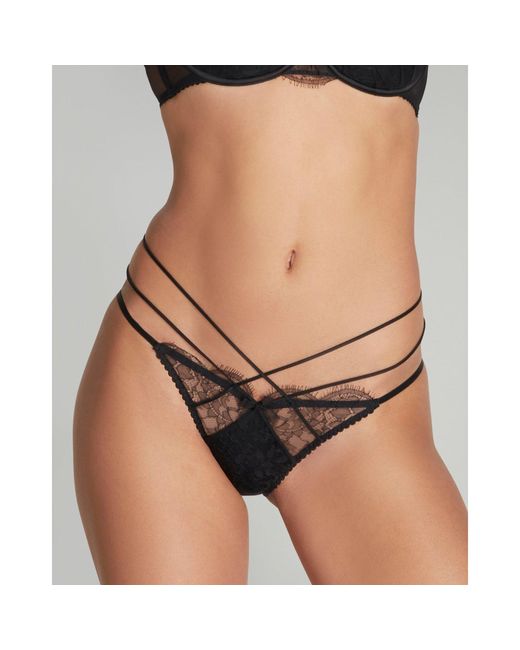Agent Provocateur Brown Halley Full Brief