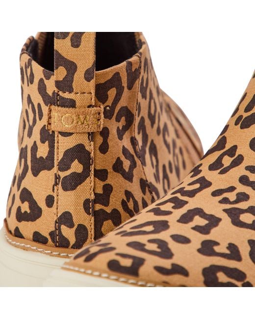 TOMS Brown Leopard Cvs Ladies