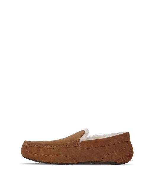 Jack Wills Brown Moccasin Slippers for men