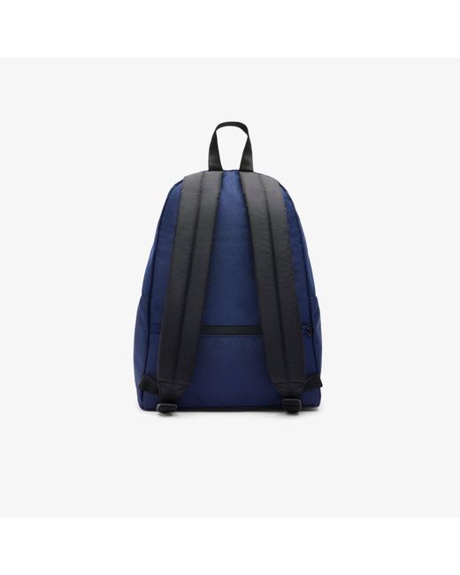 Lacoste Blue Designer Backpack for men