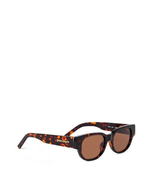 Palm Angels Brown Redondo Sunglasses