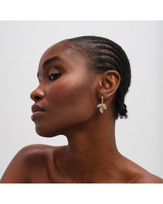 Jon Richard Metallic Plated And Cubic Zirconia Leaf Earrings
