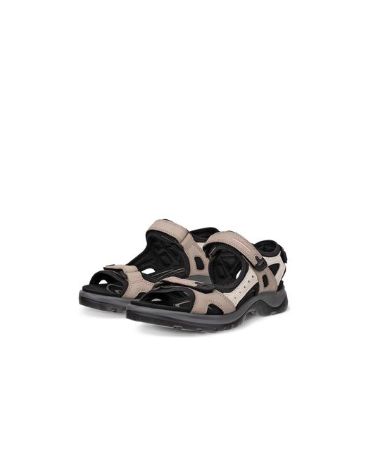 Ecco Brown Seasonal Walking Sandals