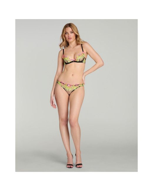 Agent Provocateur Multicolor Callypso Full Brief