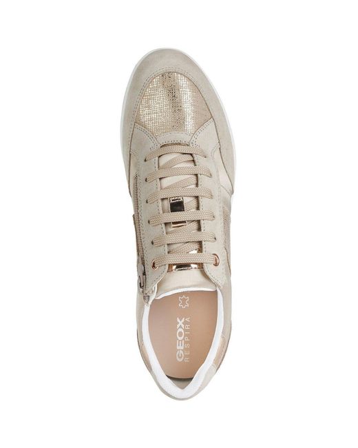 Geox Gray D Avery Trainers