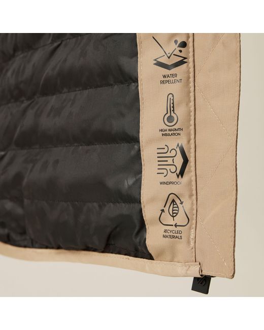 Dare 2b Natural Striking Iii Waterproof Jacket
