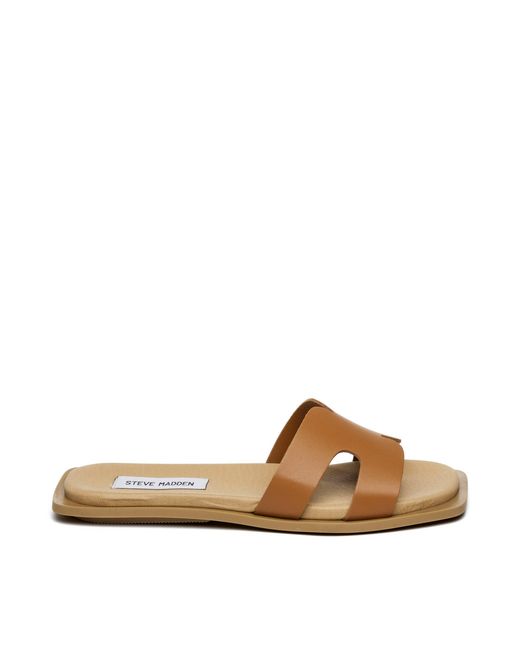 Steve Madden Brown Flat Sandals
