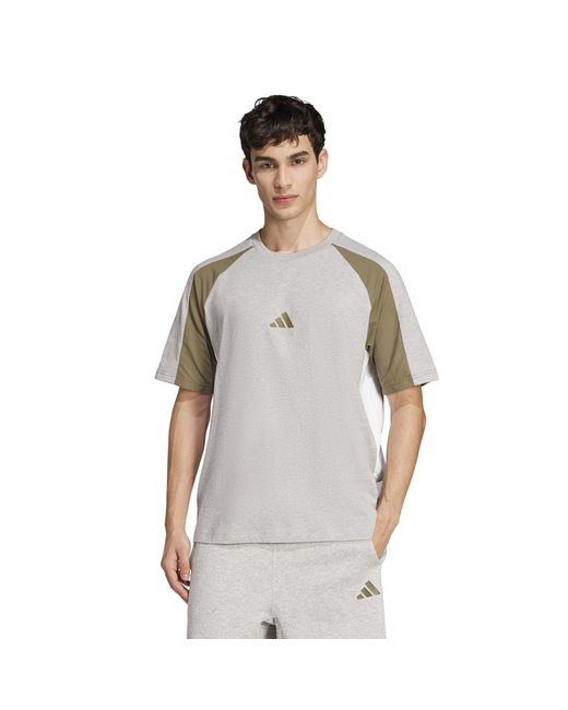 Adidas Gray Seasonal Essentials Colorblock T-Shirt for men