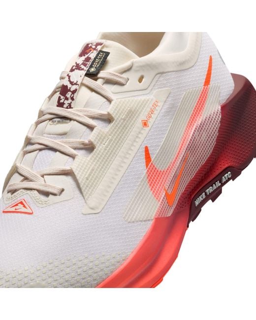 Nike Pink Pegasus Trail 5 Gore-Tex Running Shoes for men