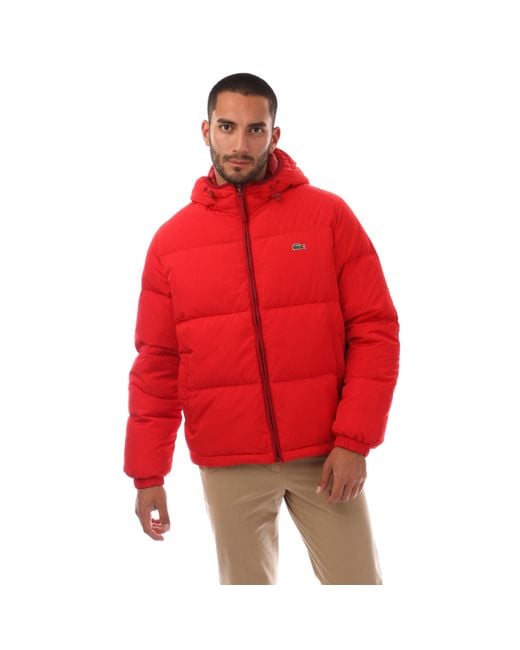 Lacoste Red Heavyweight Quilted Puffer Jacket for men