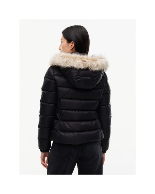 Tommy Hilfiger Blue Tjw Basic Hooded Down Jacket Ext