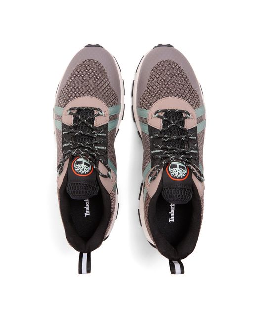Timberland Gray Low Lc Sneaker Trainers for men