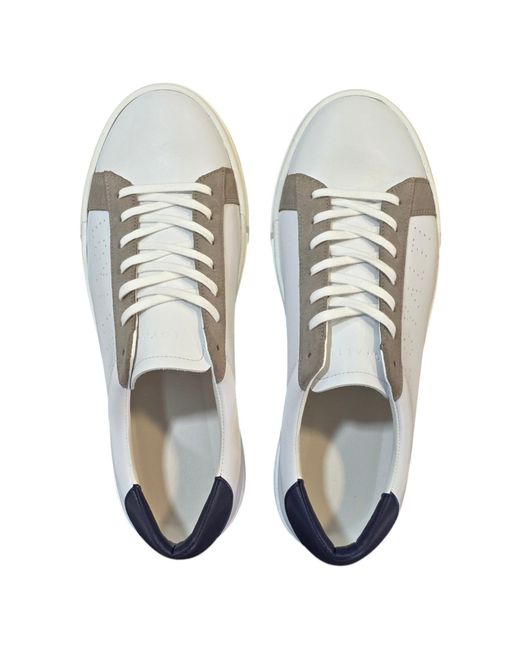 Loyalti Gray Levia Low-Top Trainers for men