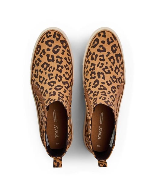 TOMS Brown Leopard Cvs Ladies