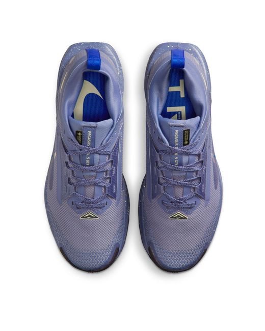 Nike Blue Pegasus Trail 5 Gore-Tex Running Shoes