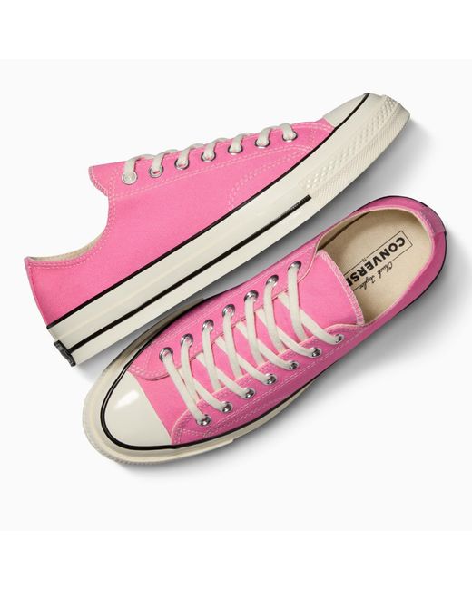 Converse Pink Adults Chuck 70 Canvas Trainers