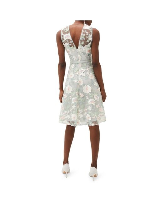Phase Eight Gray Aria Embroidered Fit And Flare Dress
