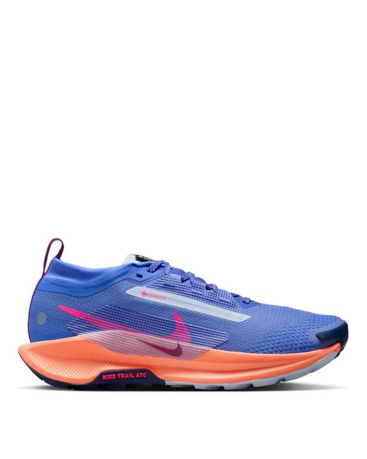 Nike Blue Pegasus Trail 5 Gore-Tex Running Shoes