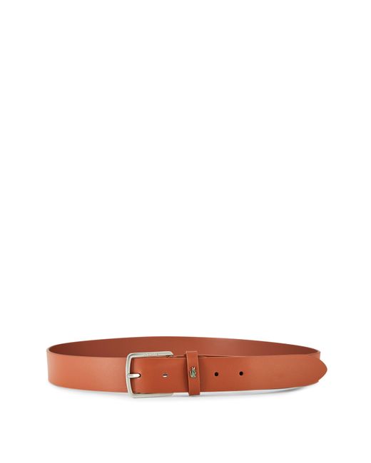 Lacoste Brown Leather Belt for men