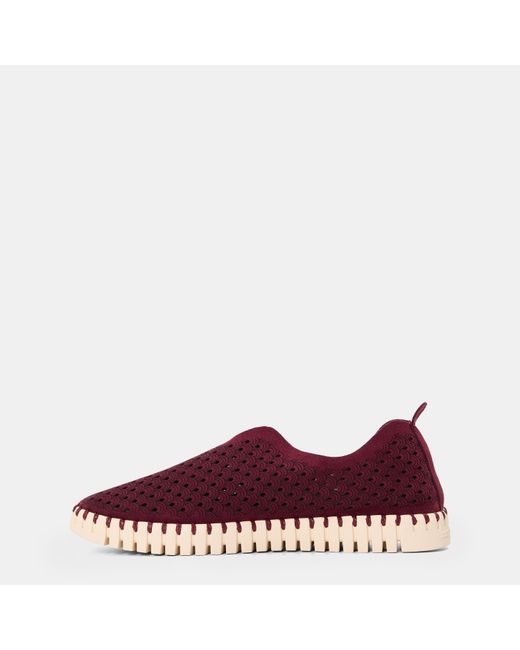 Ilse Jacobsen Purple Tulip Shoe