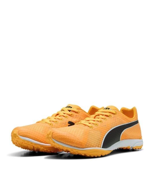 PUMA Orange Evospeed Haraka 8 Off-Road Trail Running Shoes for men