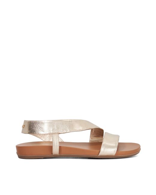 Dune Brown Lucina Flat Sandals