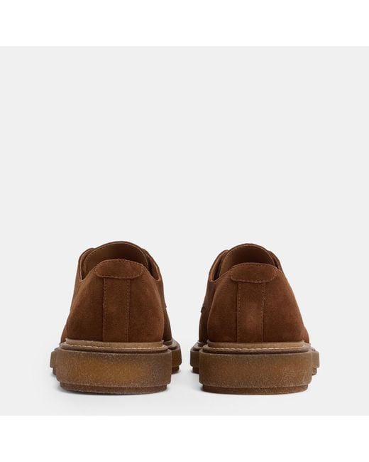 Barbour Brown Harefield Derby Shoes for men