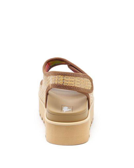 Rocket Dog Brown Balmy Raffia Sandal