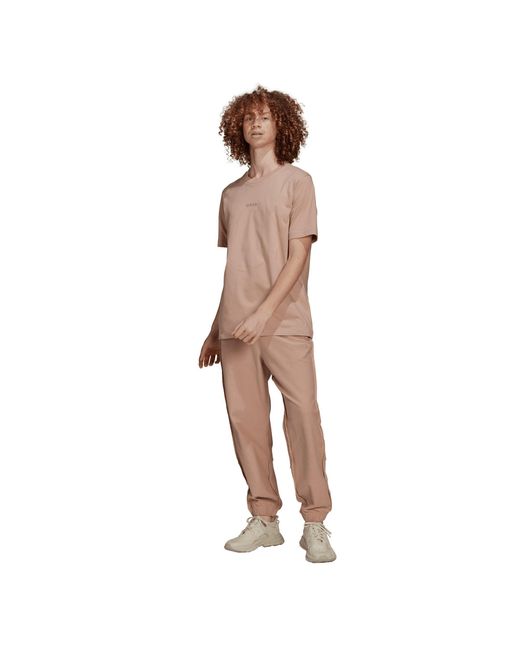 Adidas Originals Brown Loopback Closed Hem Jersey Joggers for men