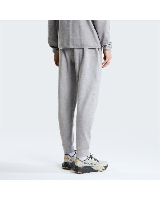 The North Face Gray Tnf Performance Tech Jogger for men