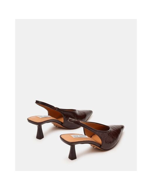 Steve Madden Brown Madden Alari 50H Ld64