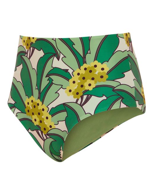 Regatta Green Orla Reversible Bikini Set