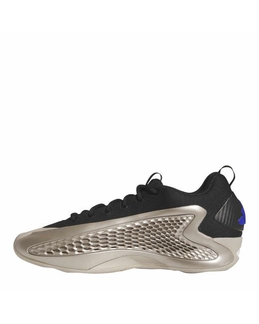 Adidas Gray Anthony Edwar for men