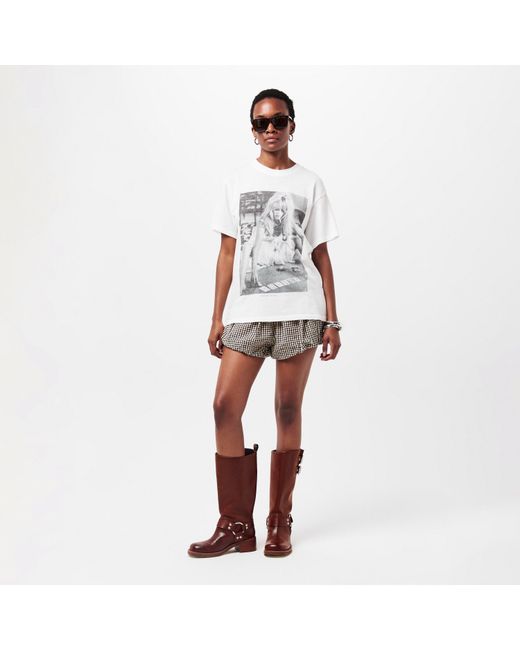 Steve Madden Brown Eastern Motorcycle Boots With Block Heel
