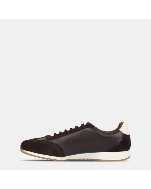 Jack Wills Black Starbury Ladies