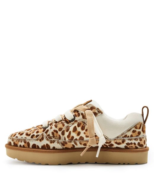 Ugg Brown Lowmel Lowmel Low-Top Trainers