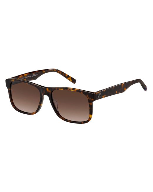 Tommy Hilfiger Brown Th 2073/S 086(Ha) for men