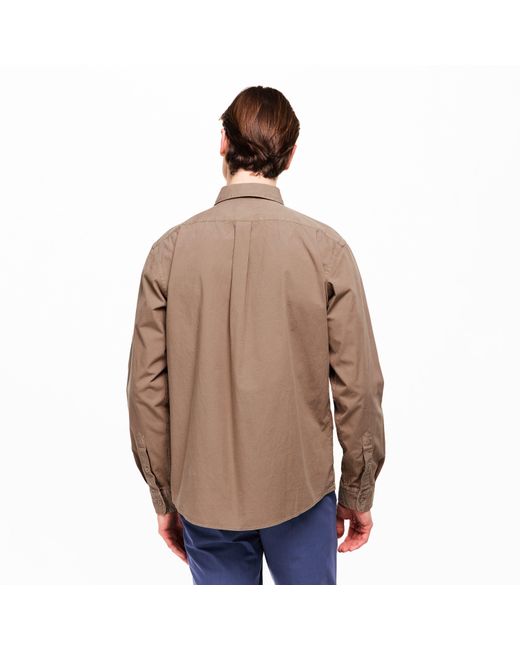 Boss Brown Premium Shirt (Liam) for men