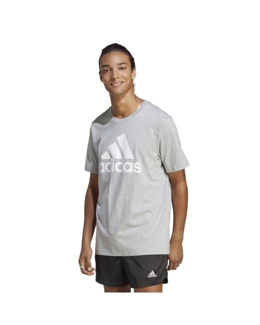 Adidas Gray Graphic Logo T-Shirt for men