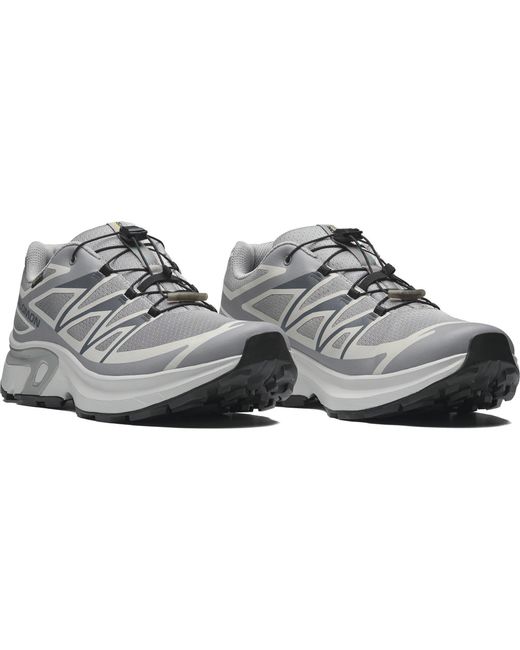 Salomon Gray Xt Evr Gtx for men