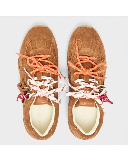 Nokwol Brown Atlas Low-Top Trainers