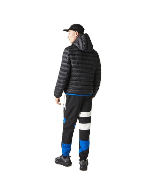 Lacoste Blue Slim Fit Short Puffer Jacket for men