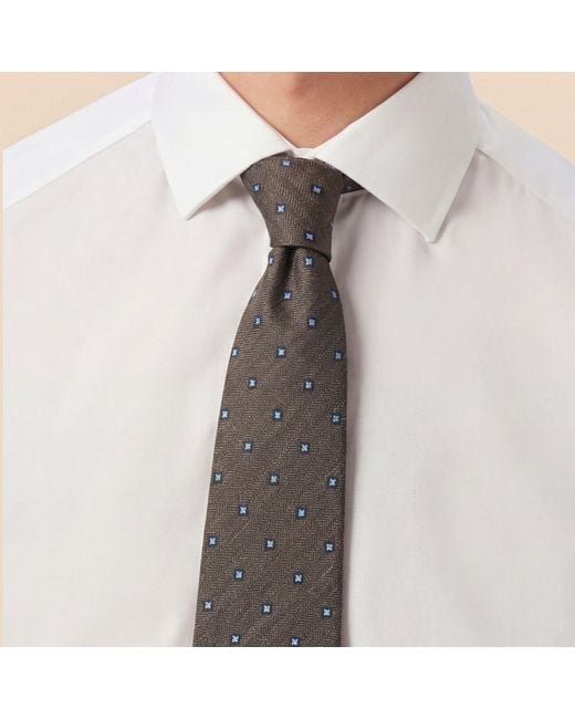 Without Prejudice Brown Bella Silt Daisy Tie for men