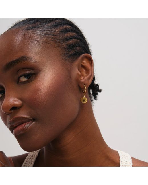 Jon Richard Metallic Plated Waterproof Shell Hoop Earrings
