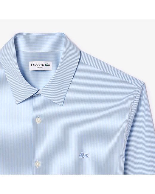Lacoste Blue Slim Fit Striped Stretch Poplin Shirt for men