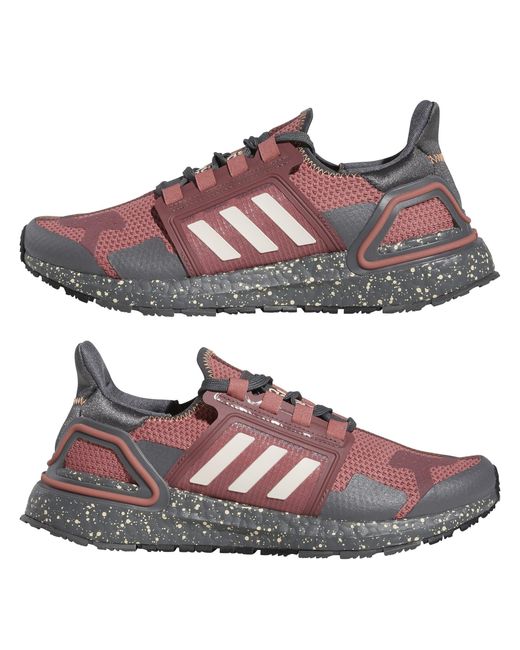 Adidas Multicolor Off-Road Trail Running Shoes