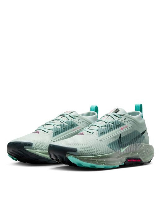 Nike Green Pegasus Trail 5 Gore-Tex Running Shoes for men