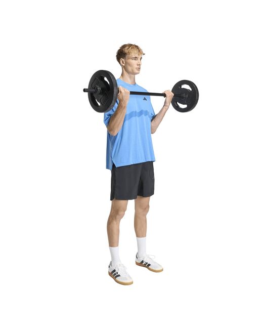 Adidas Blue Pl Es Gfx T for men
