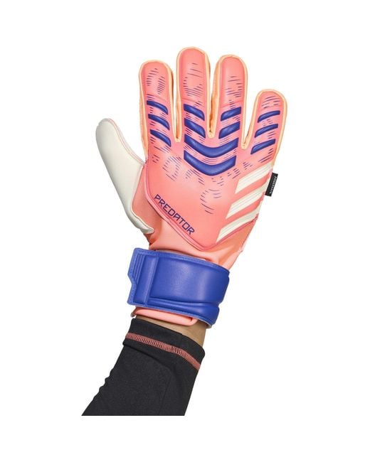 Adidas Blue Predator Match Fingersave Goalkeeper Gloves Adults