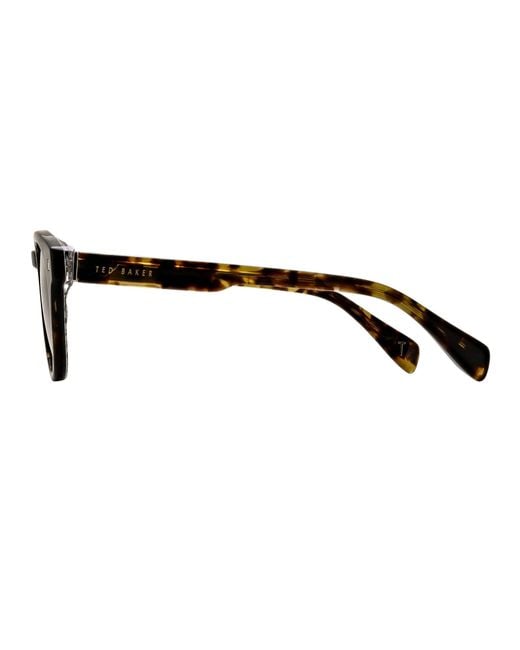 Ted Baker Brown Bak Dax Round Sunglasses for men